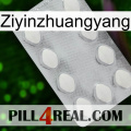 Ziyinzhuangyang 16